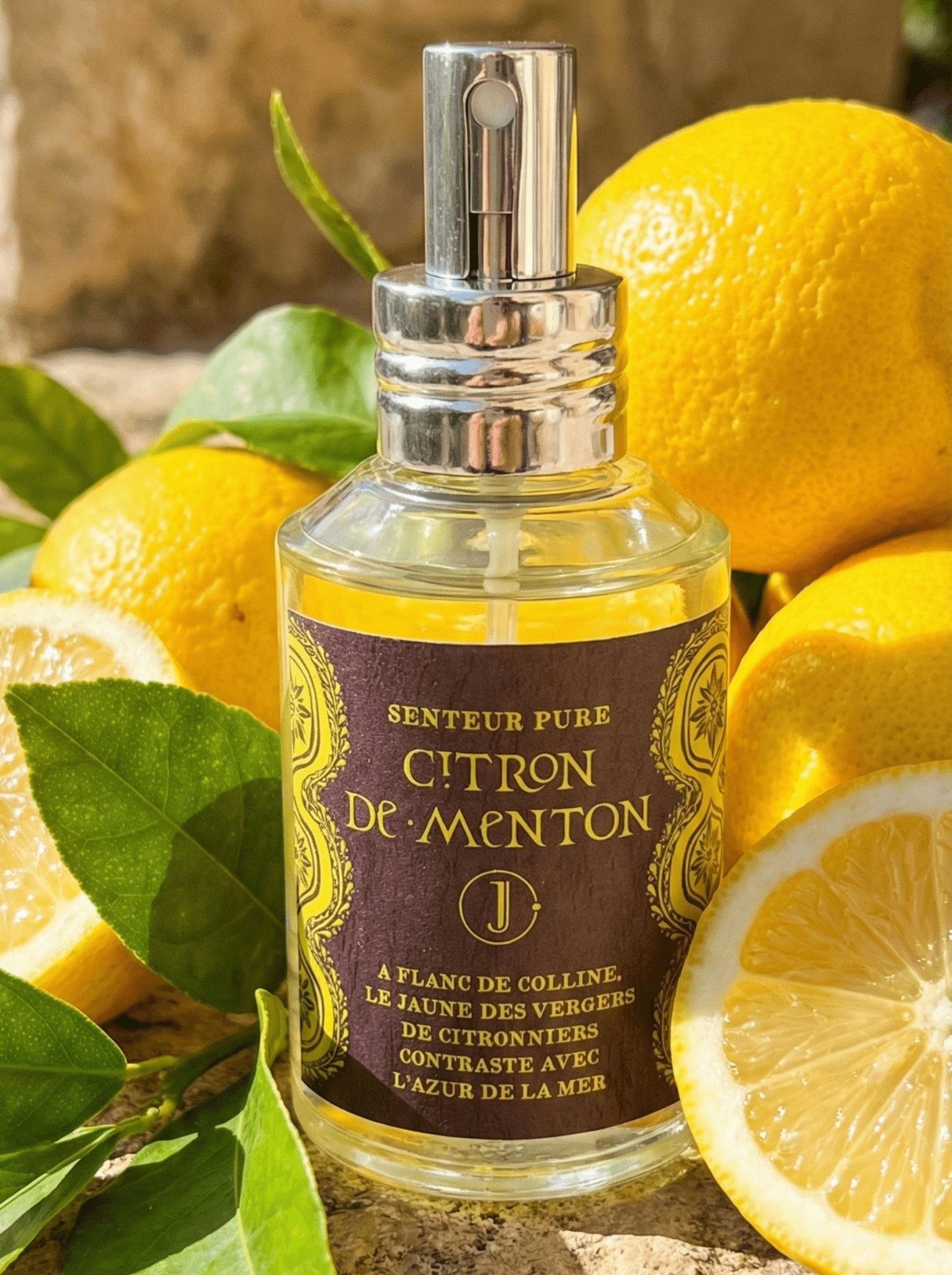 bougie_parfumée - bougies_XXL