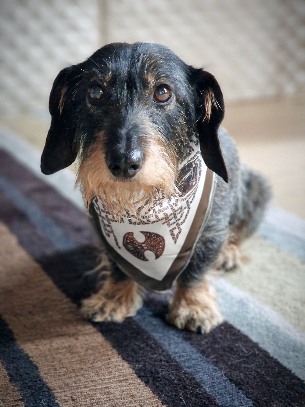 bougie_parfumée - bougies_XXL